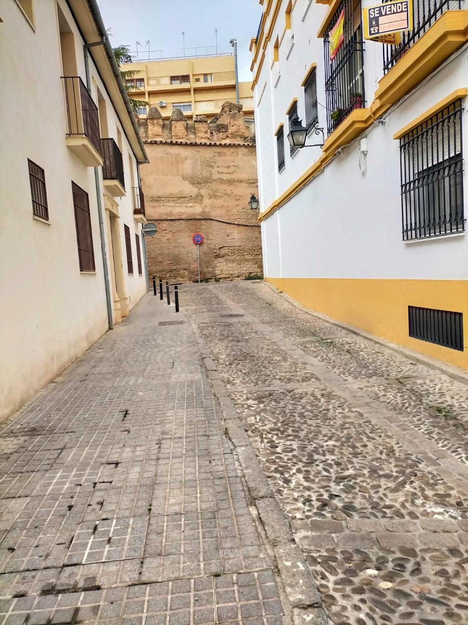 Nieves Viejas Los Patios Cordova Esterno foto